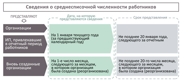 В какие сроки нужно представить сведения по форме КНД 1110018