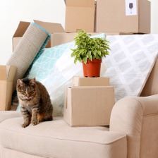 Как оформить в собственность квартиру в новостройке