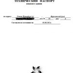 техпаспорт