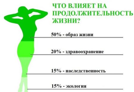 Анализ причин, которые влияют на продолжительность жизни. От чего зависит СПЖ