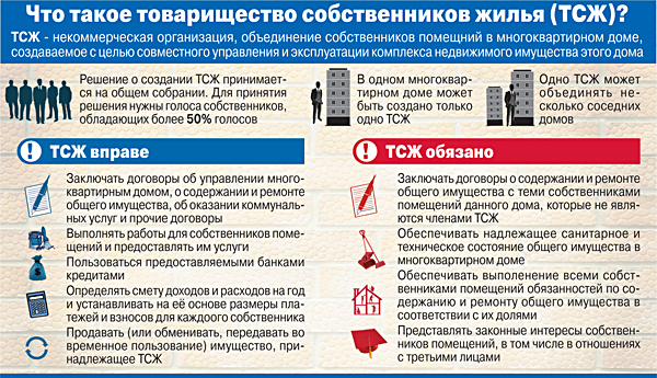 Старший по дому и подъезду, его права и льготы, кто им может быть Закон и дом
