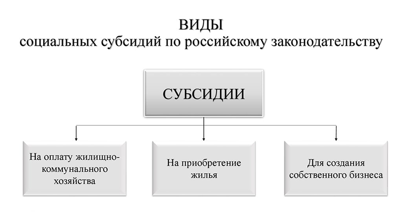 Характерные признаки: чем субвенция отличается от субсидии, предоставляемые денежные средства
