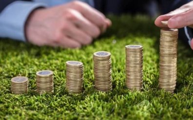 Денежный капитал при рождении второго и последующих младенцев