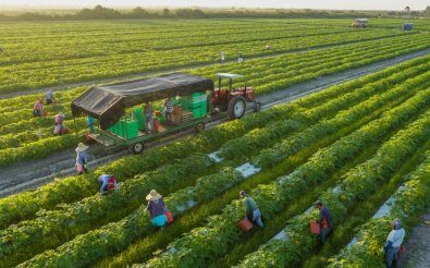 Открытие фермерского хозяйства