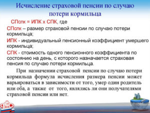 Как посчитать пенсию по потере кормильца Расчет пенсии по потере кормильца фото