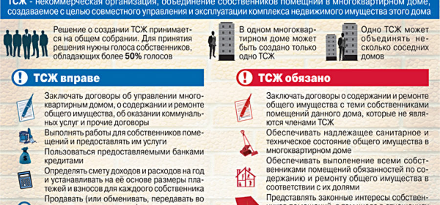 Старший по дому и подъезду, его права и льготы, кто им может быть Закон и дом