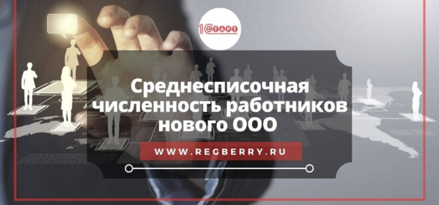 Что делать после регистрации ООО