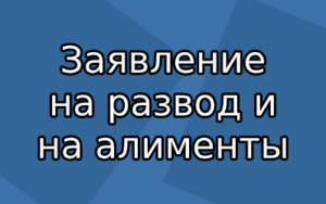 Исковое заявление о расторжении брака и взыскании алиментов 2019г